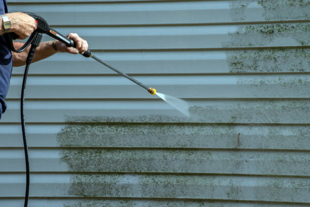 Best Local Pressure Washing Services  in Gasport, NY