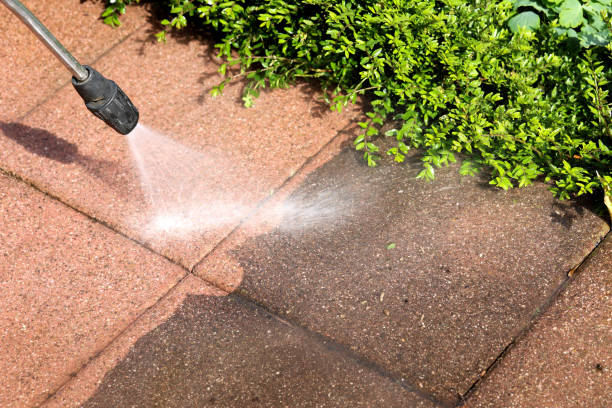 Best Residential Pressure Washing Services  in Gasport, NY
